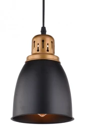 Подвесной светильник A4248SP-1BK ARTE Lamp