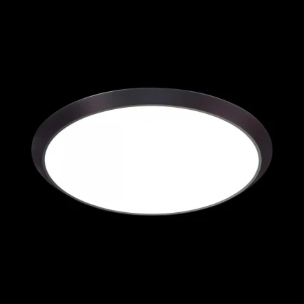 Накладной светильник Sonex 3062/18L