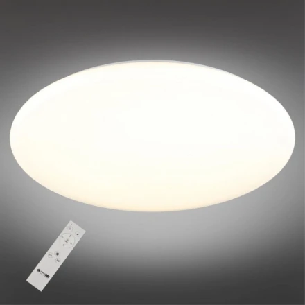 Накладной светильник OML-43017-100 Omnilux