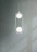 Подвесной светильник Maytoni MOD013PL-02W