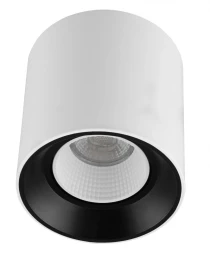 Накладной светильник DK3090-WB+WH Denkirs
