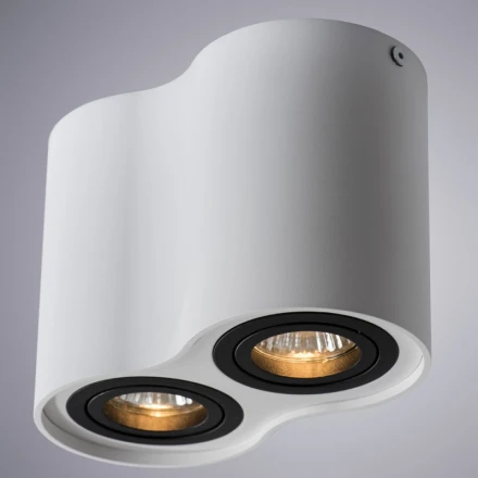 Накладной светильник A5644PL-2WH ARTE Lamp