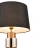 Настольная лампа Vele Luce VL5754N01