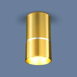Накладной светильник DLN106 GU10 золото Elektrostandard