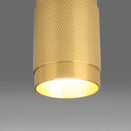 Накладной светильник DLN109 GU10 золото Elektrostandard