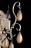 Настенный светильник (бра) Freya FR2302-WL-02-WG