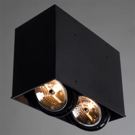 Накладной светильник A5936PL-2BK ARTE Lamp