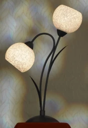 Настольная лампа Lussole LSF-6294-02