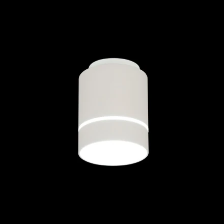 Накладной светильник Citilux CL745010N