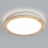 Накладной светильник ARTE Lamp A2685PL-72WH
