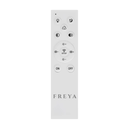 Потолочный светильник Freya FR10031CL-L98B