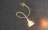 Светильник для картин 1214 MR16 золото Elektrostandard