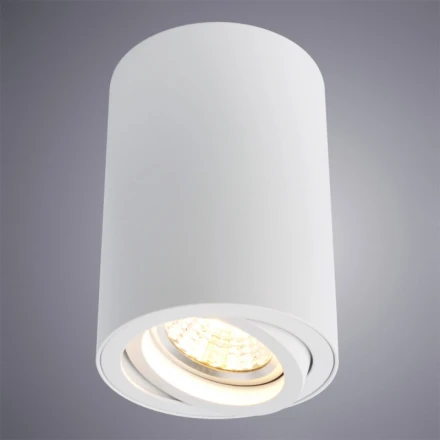 Накладной светильник A1560PL-1WH ARTE Lamp