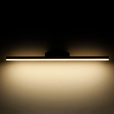 Светильник для картин Protect LED чёрный (MRL LED 1111) Elektrostandard