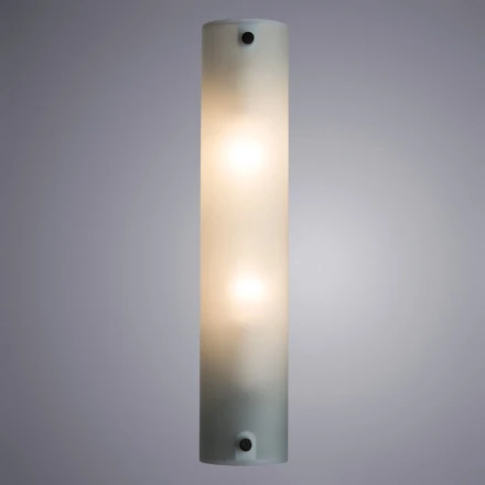 Светильник для картин A4101AP-2WH ARTE Lamp