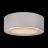 Потолочный светильник Maytoni MOD617CL-04GR