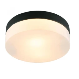 Накладной светильник ARTE Lamp A6047PL-2BK