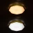 Накладной светильник ARTE Lamp A2659PL-1YL