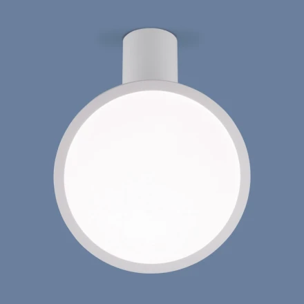Накладной светильник DLS029 12W 4200K белый матовый Elektrostandard