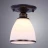Накладной светильник A9518PL-1BA ARTE Lamp