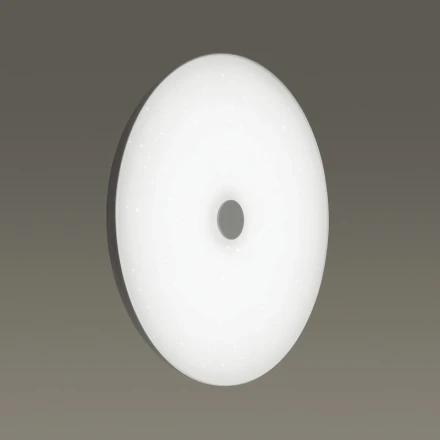 Накладной светильник 4629/DL Sonex