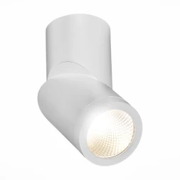 Влагозащищенный светильник ST-Luce ST650.542.10
